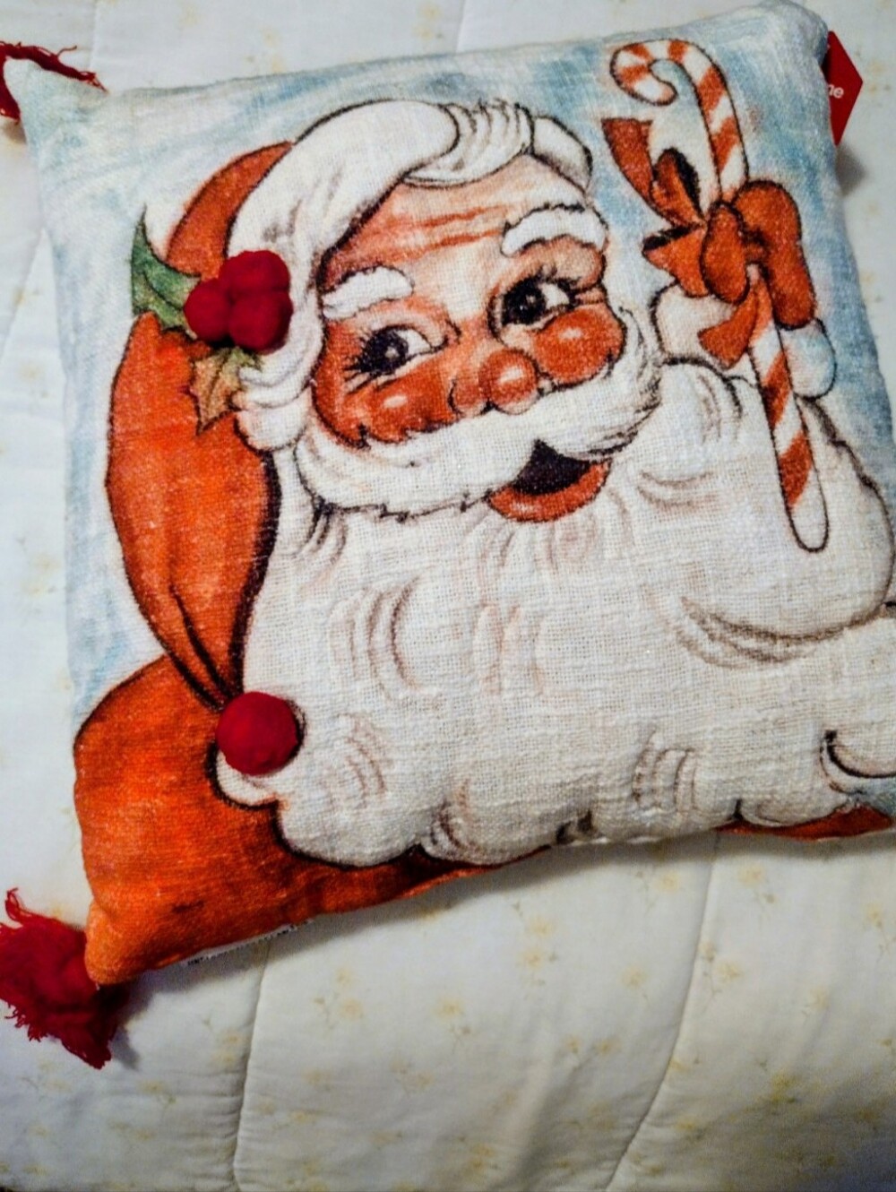 Christmas Decorative Pillow